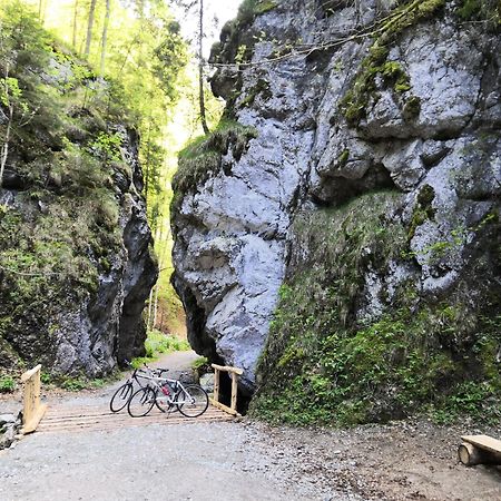Blatnica Drevenica Pod Tlstouゲストハウス エクステリア 写真
